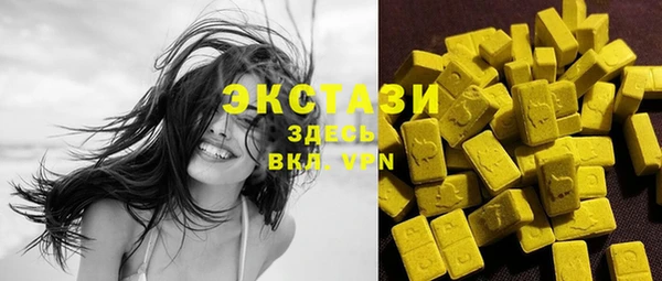 дмт Рославль